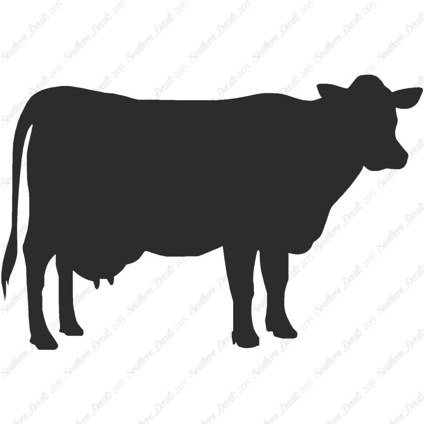 Dairy Cow Bovine