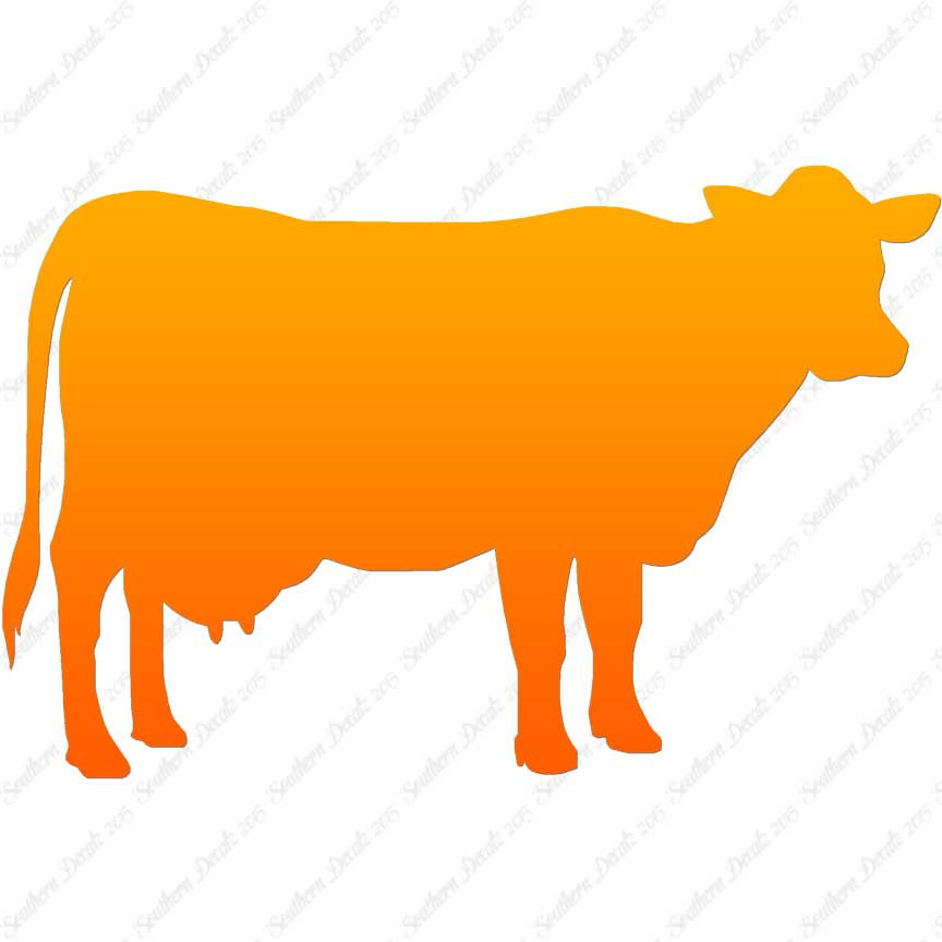 Dairy Cow Bovine