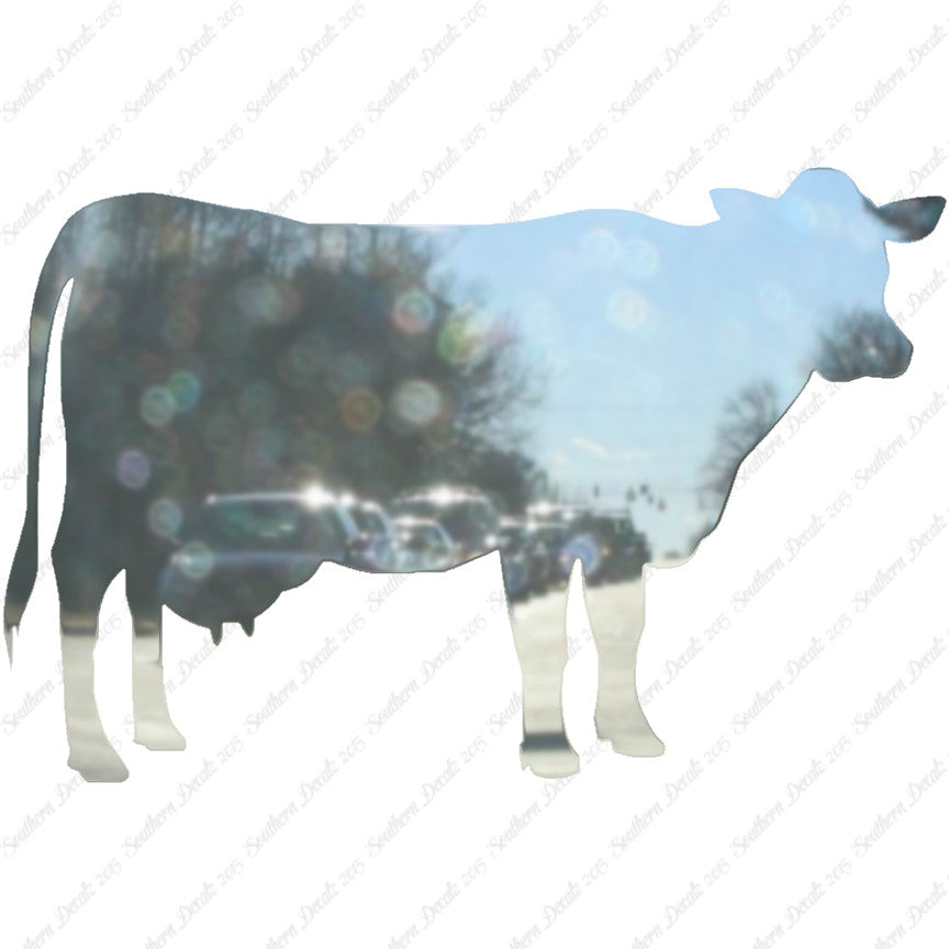 Dairy Cow Bovine