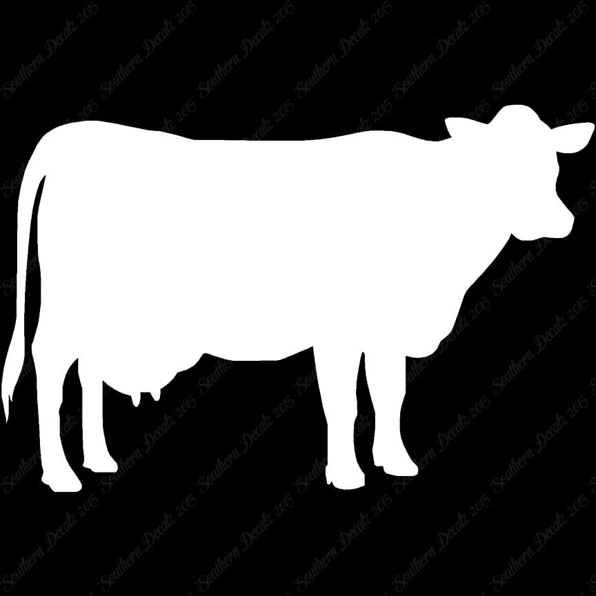 Dairy Cow Bovine
