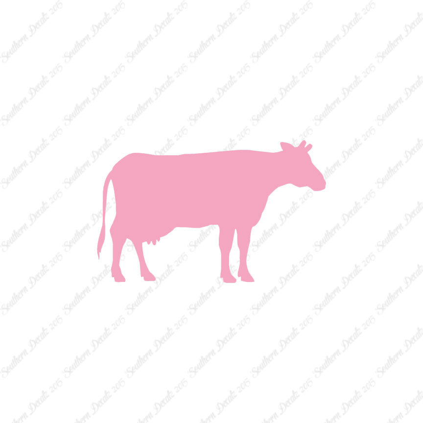 Cow Bovine Angus