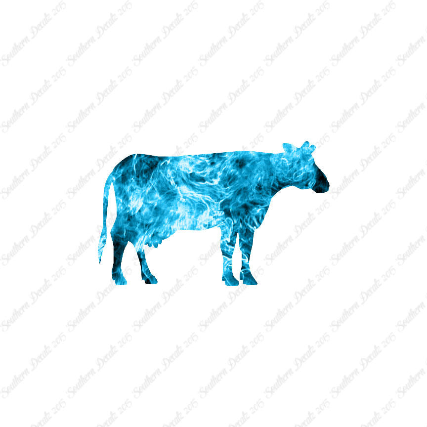 Cow Bovine Angus