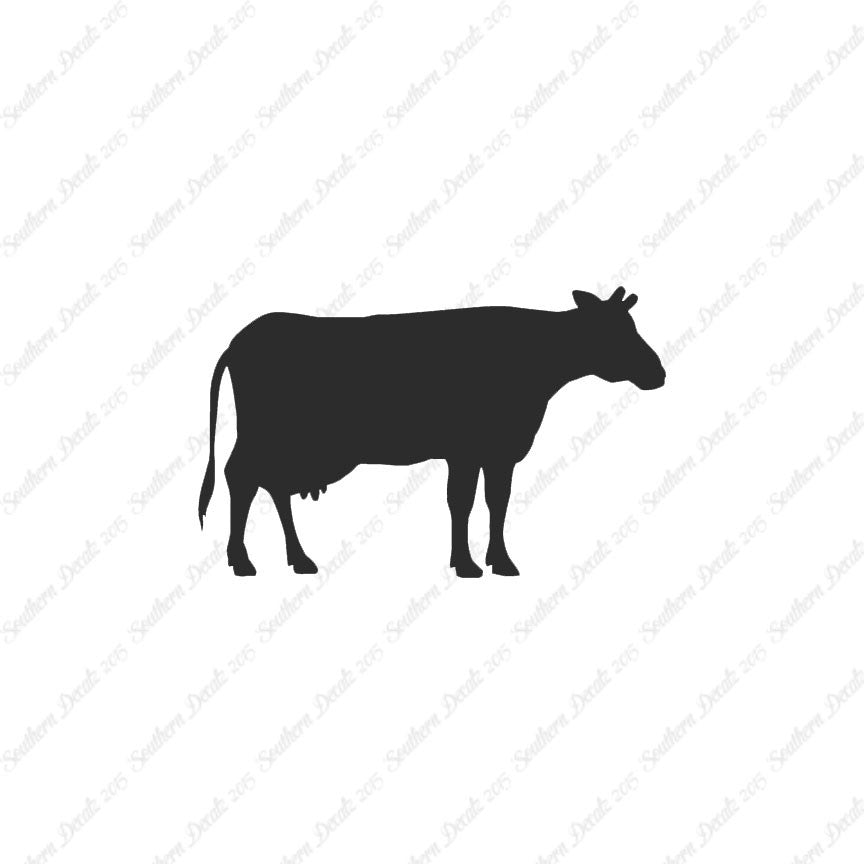 Cow Bovine Angus