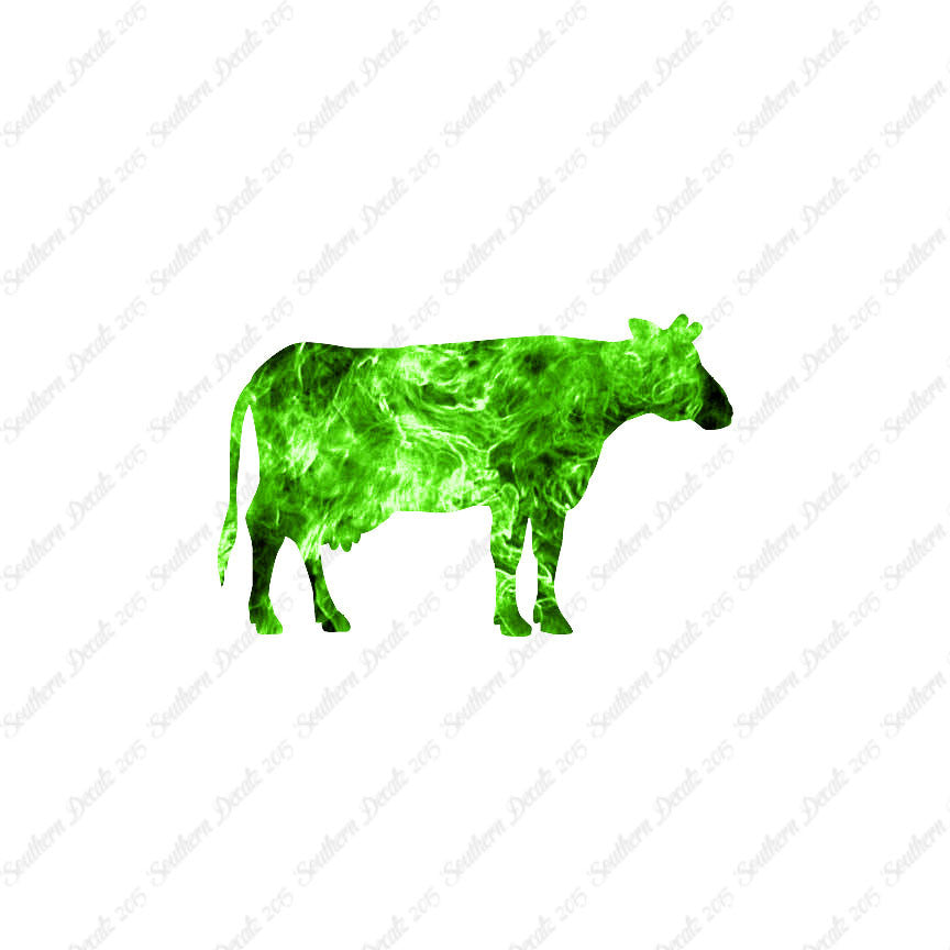 Cow Bovine Angus