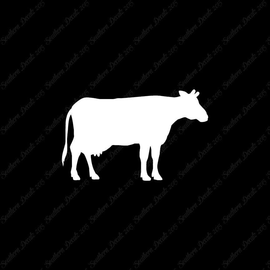Cow Bovine Angus