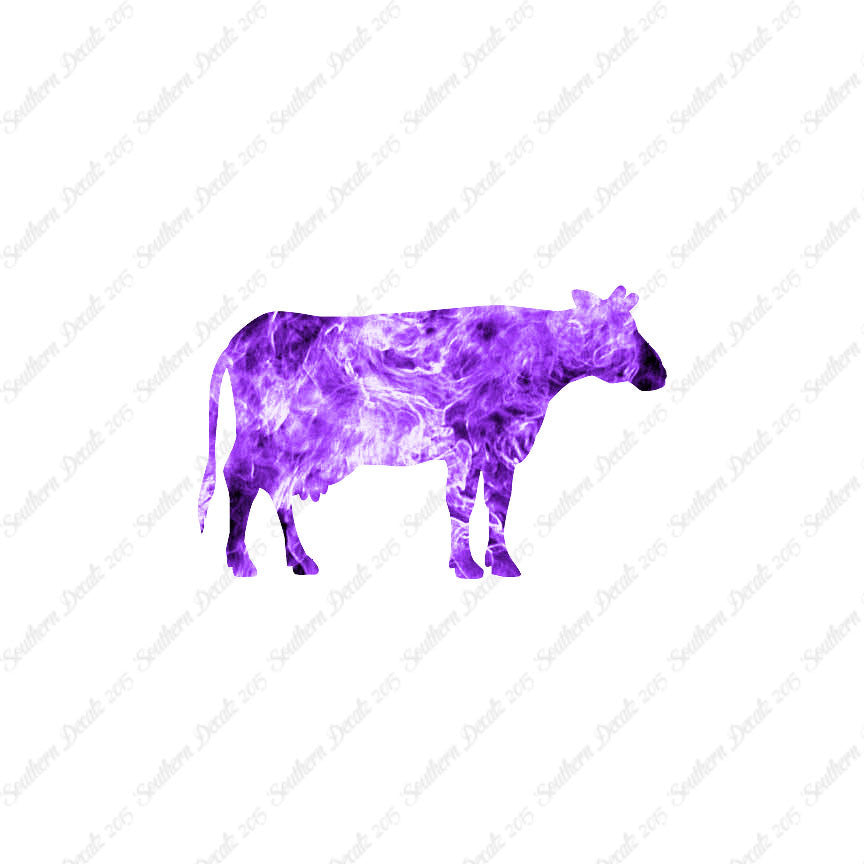 Cow Bovine Angus