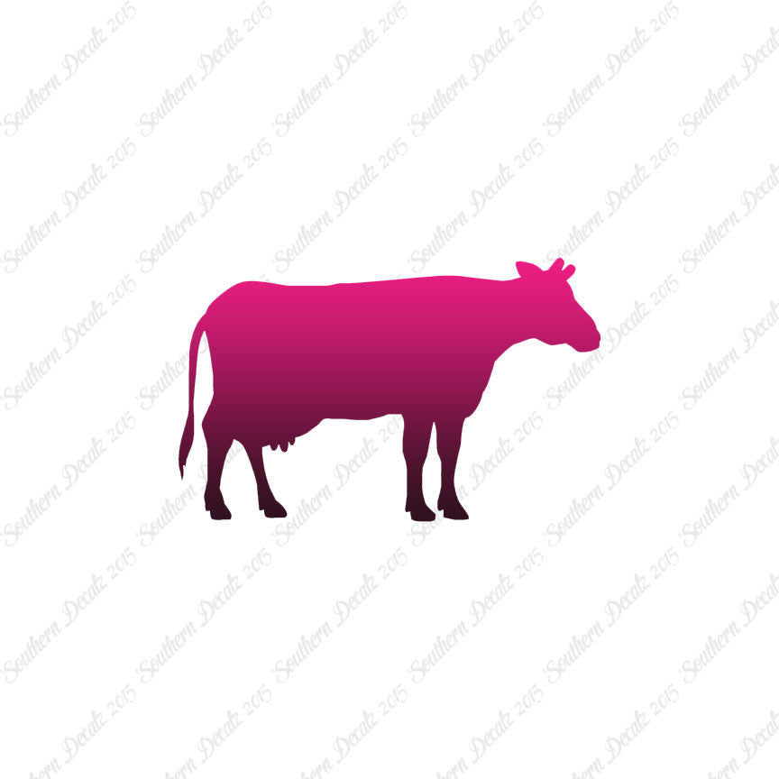 Cow Bovine Angus