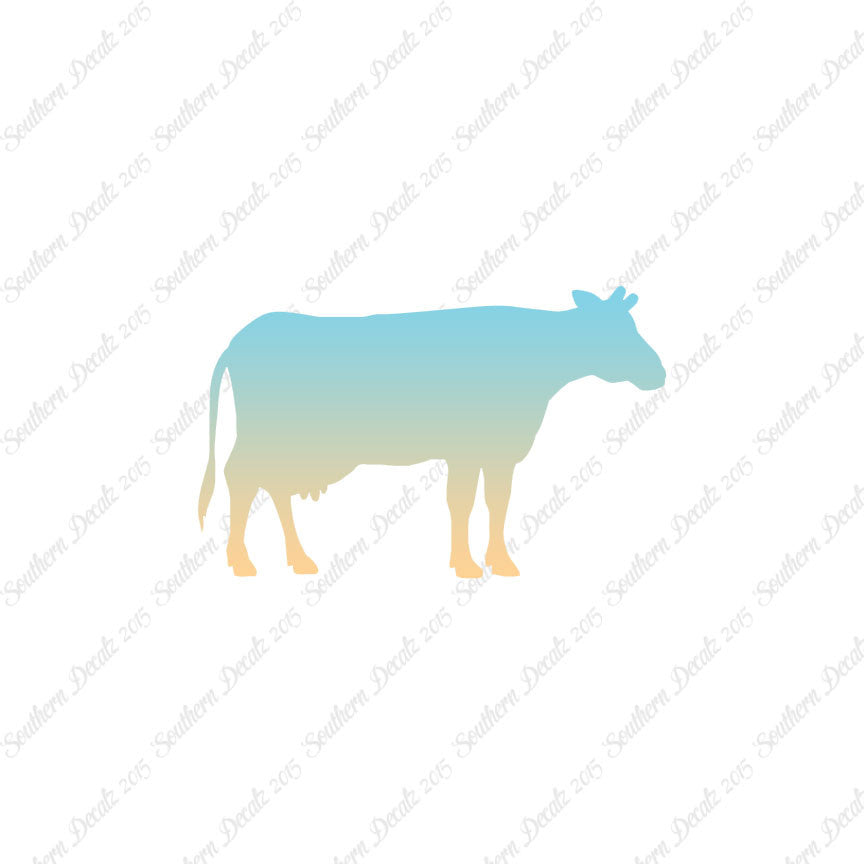 Cow Bovine Angus