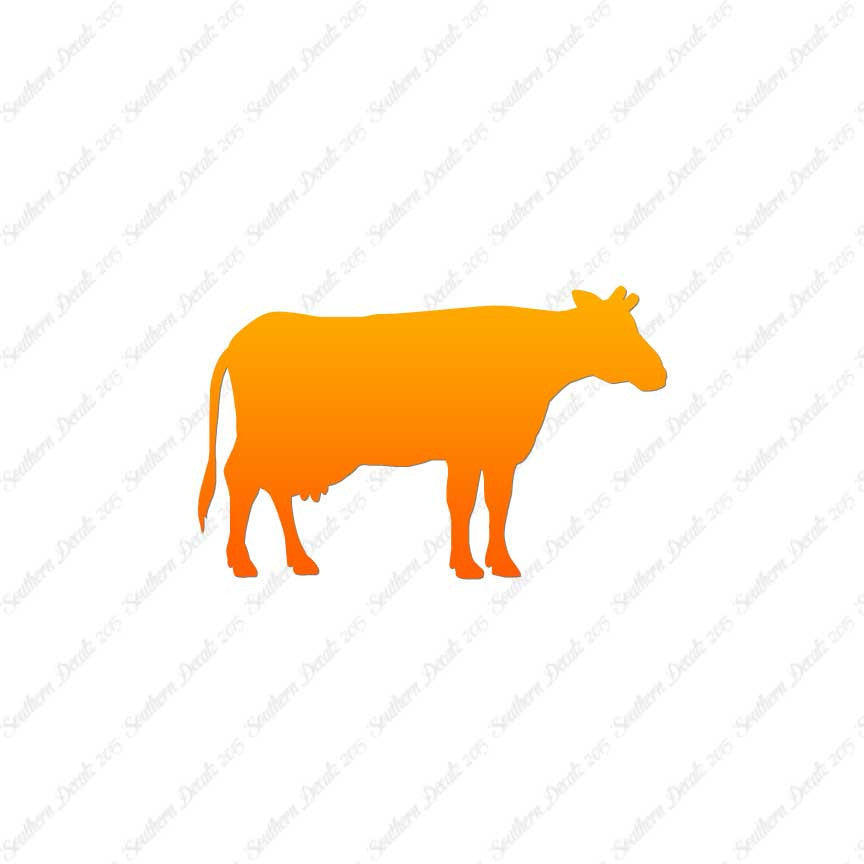 Cow Bovine Angus