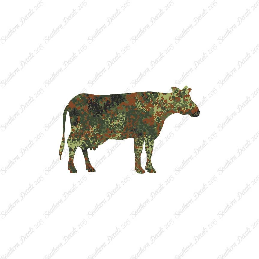 Cow Bovine Angus