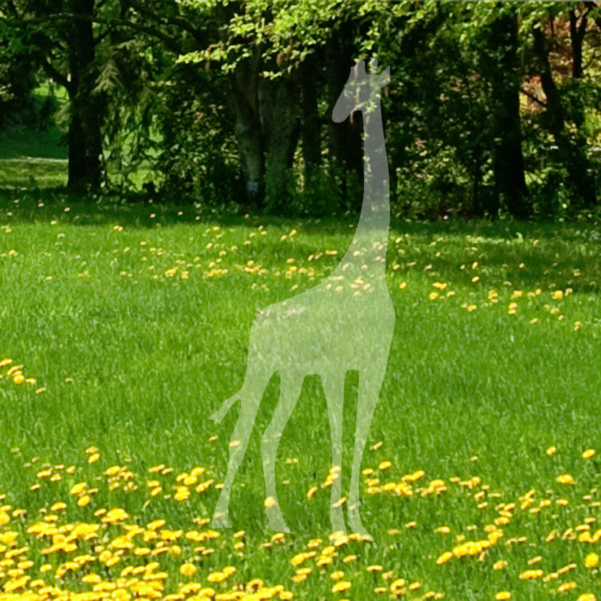 Giraffe Silhouette