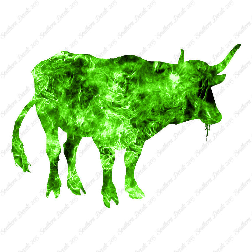 Water Buffalo Bison