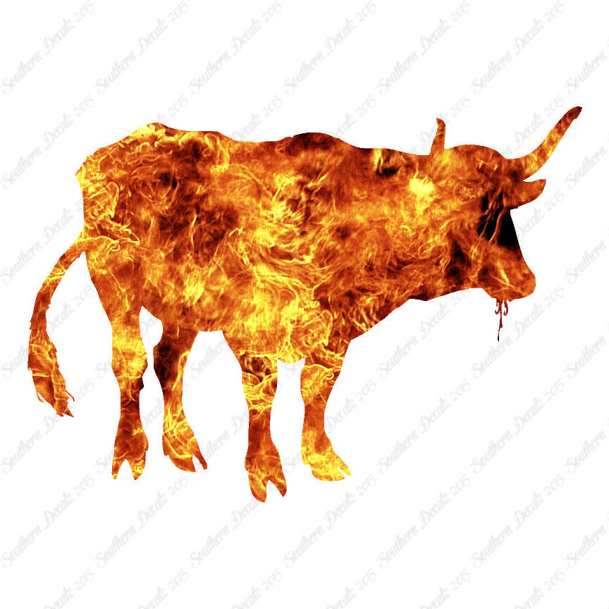 Water Buffalo Bison