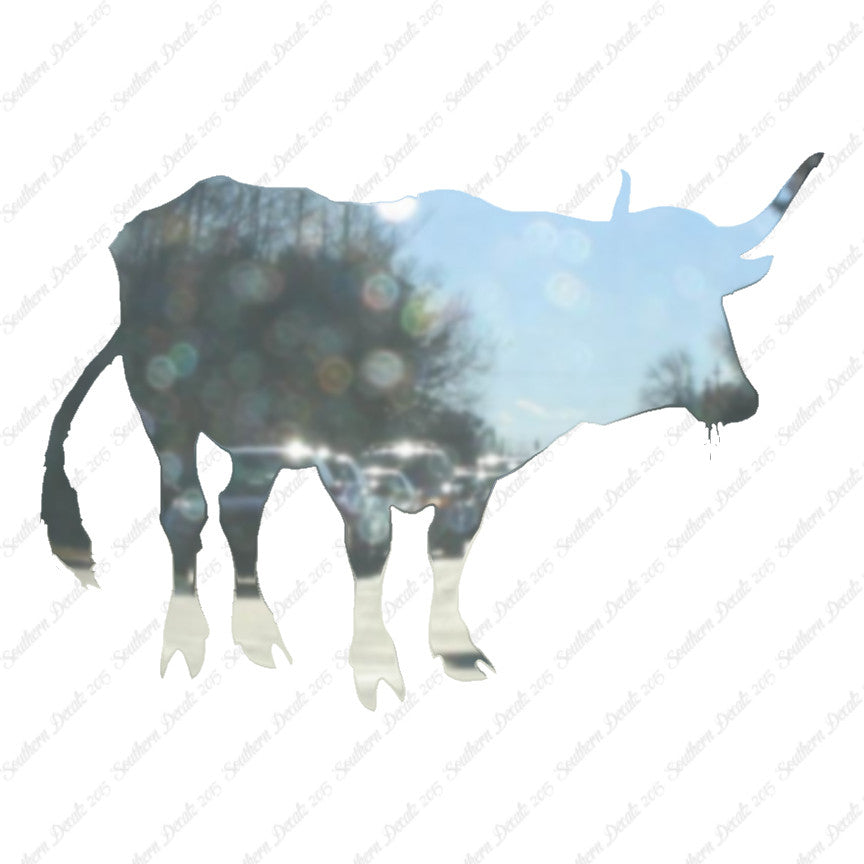 Water Buffalo Bison