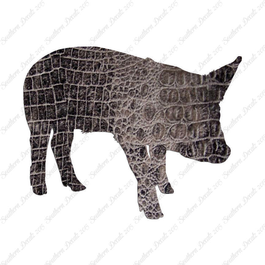 Swine Pig Sow