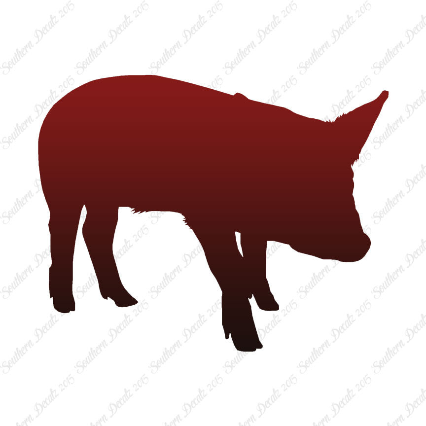 Swine Pig Sow