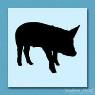 Swine Pig Sow