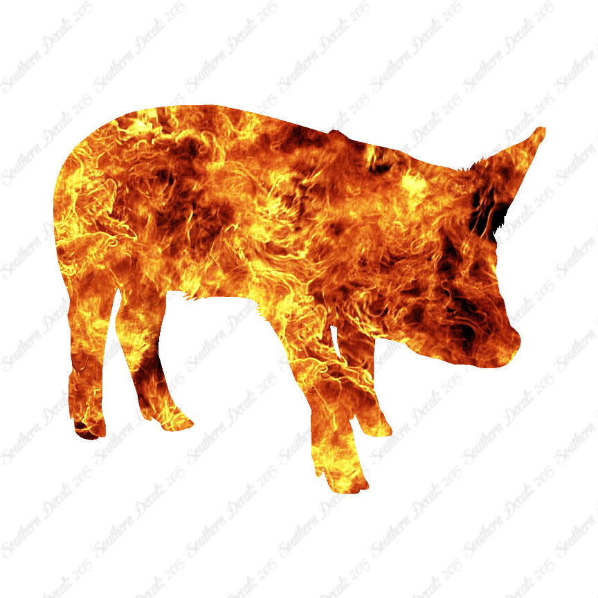 Swine Pig Sow