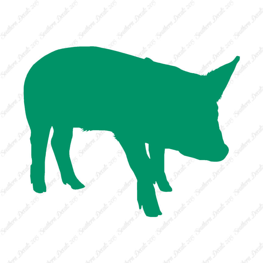 Swine Pig Sow