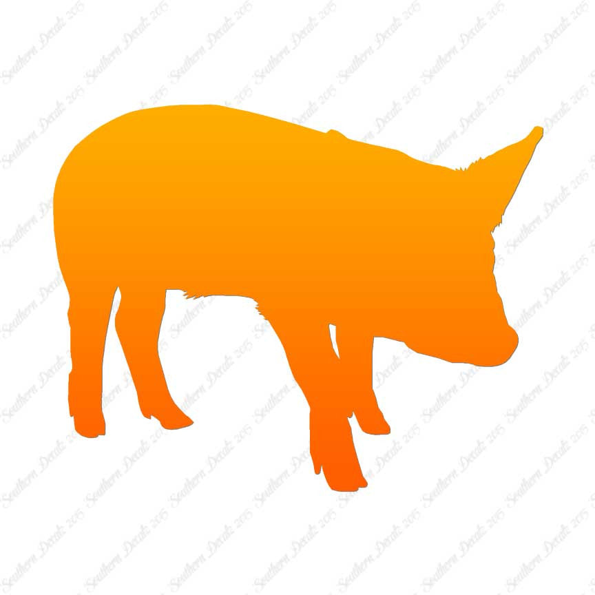 Swine Pig Sow