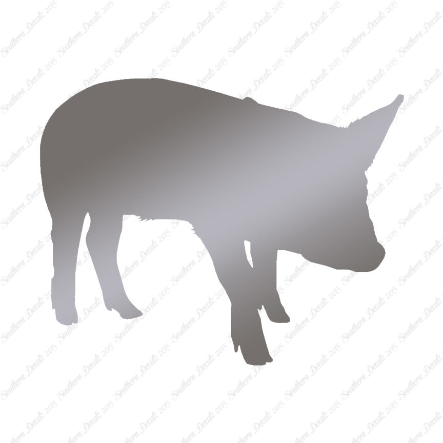 Swine Pig Sow