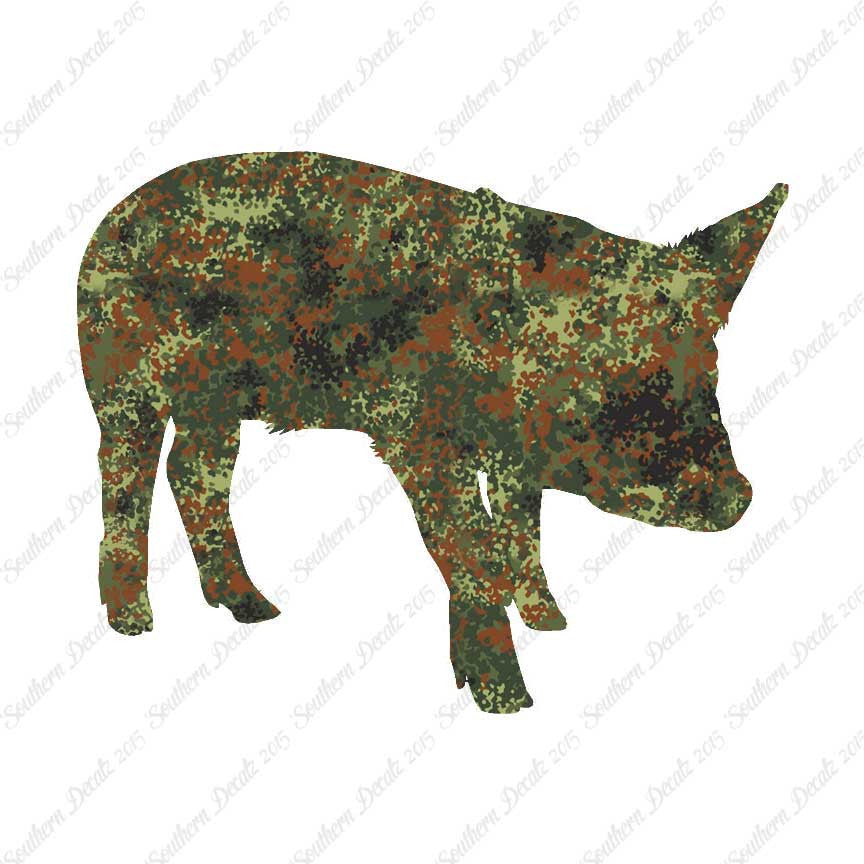 Swine Pig Sow