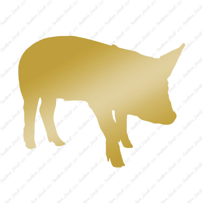Swine Pig Sow