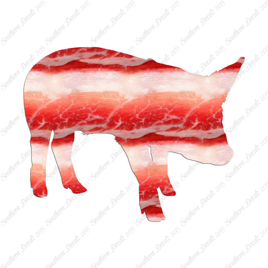 Swine Pig Sow