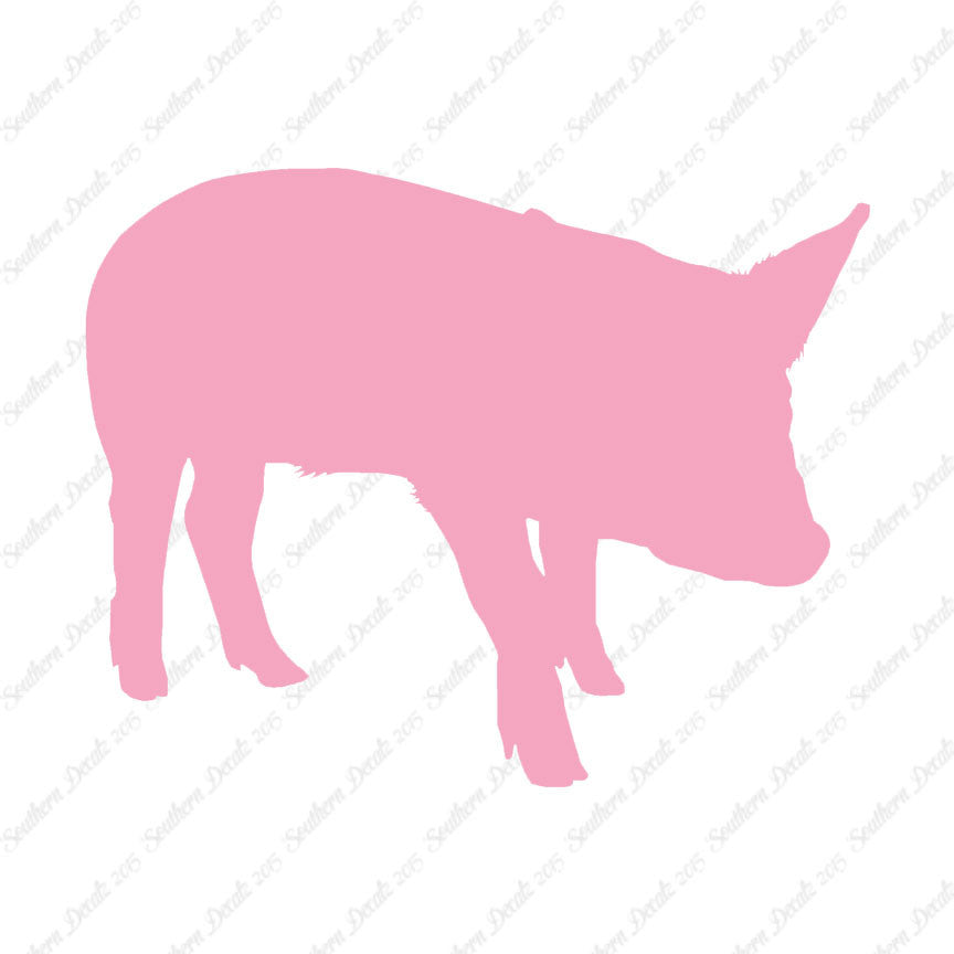 Swine Pig Sow