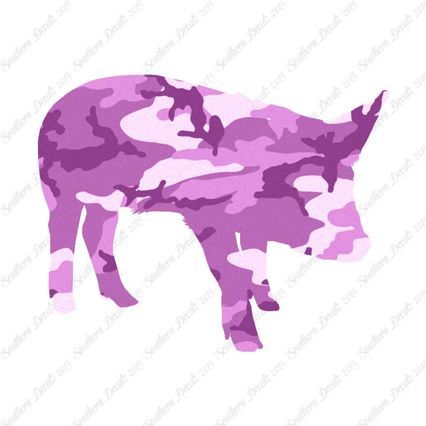 Swine Pig Sow