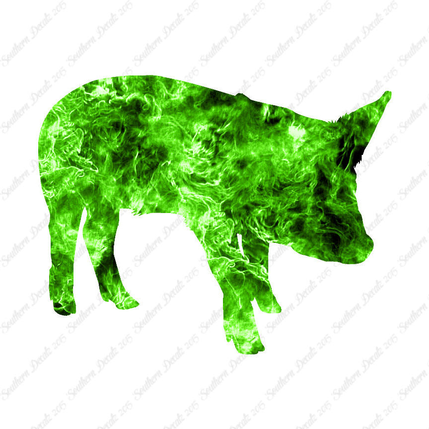 Swine Pig Sow