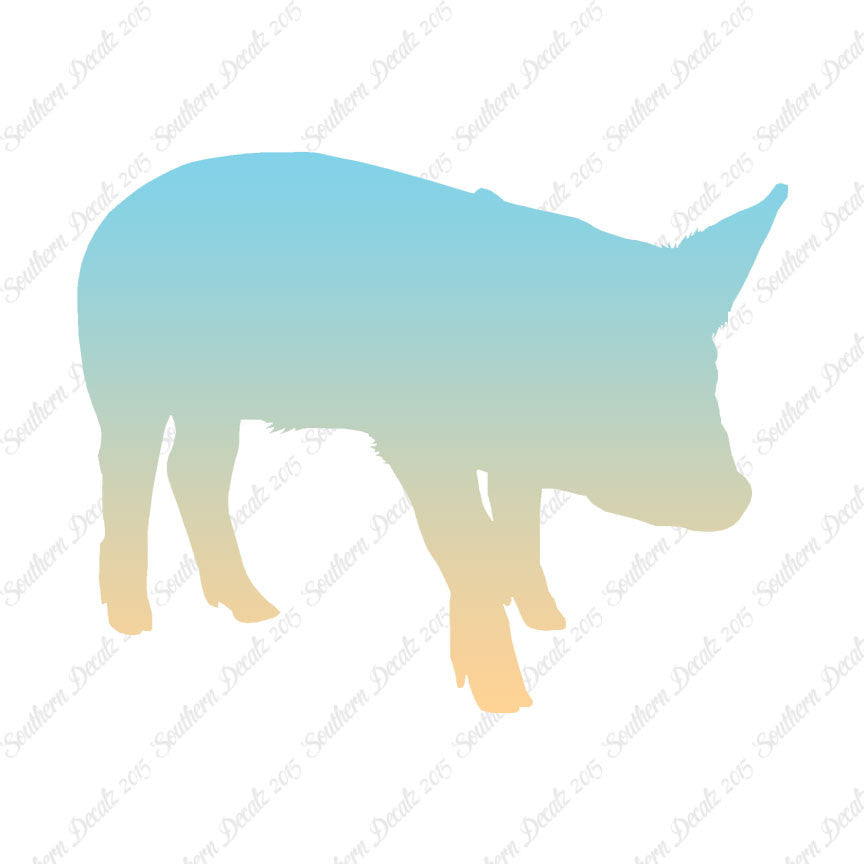 Swine Pig Sow