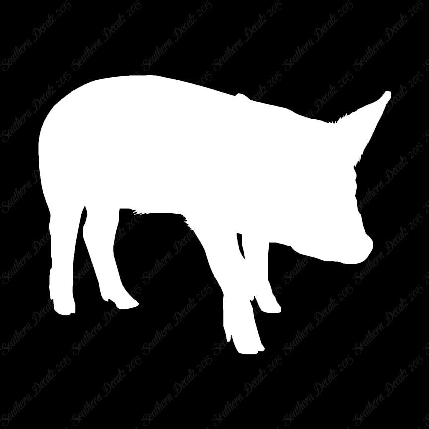 Swine Pig Sow