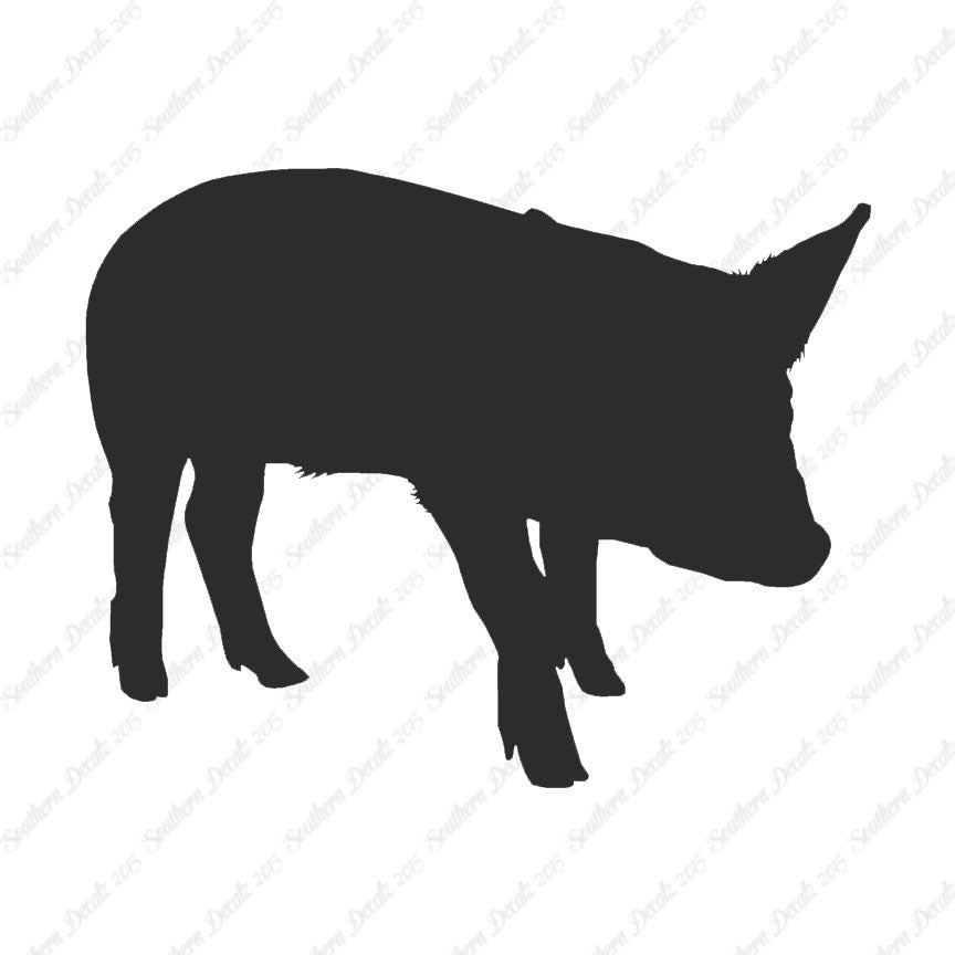 Swine Pig Sow