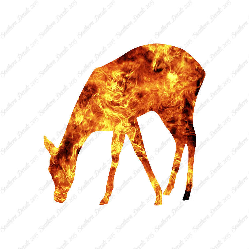 Deer Doe Fawn