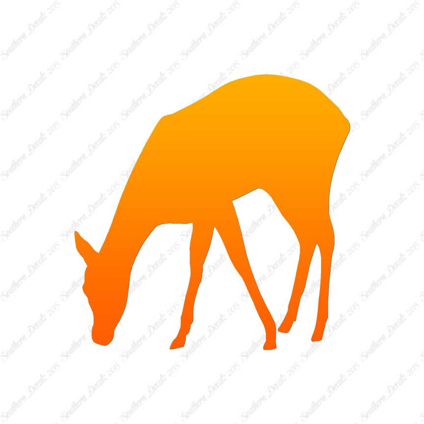 Deer Doe Fawn