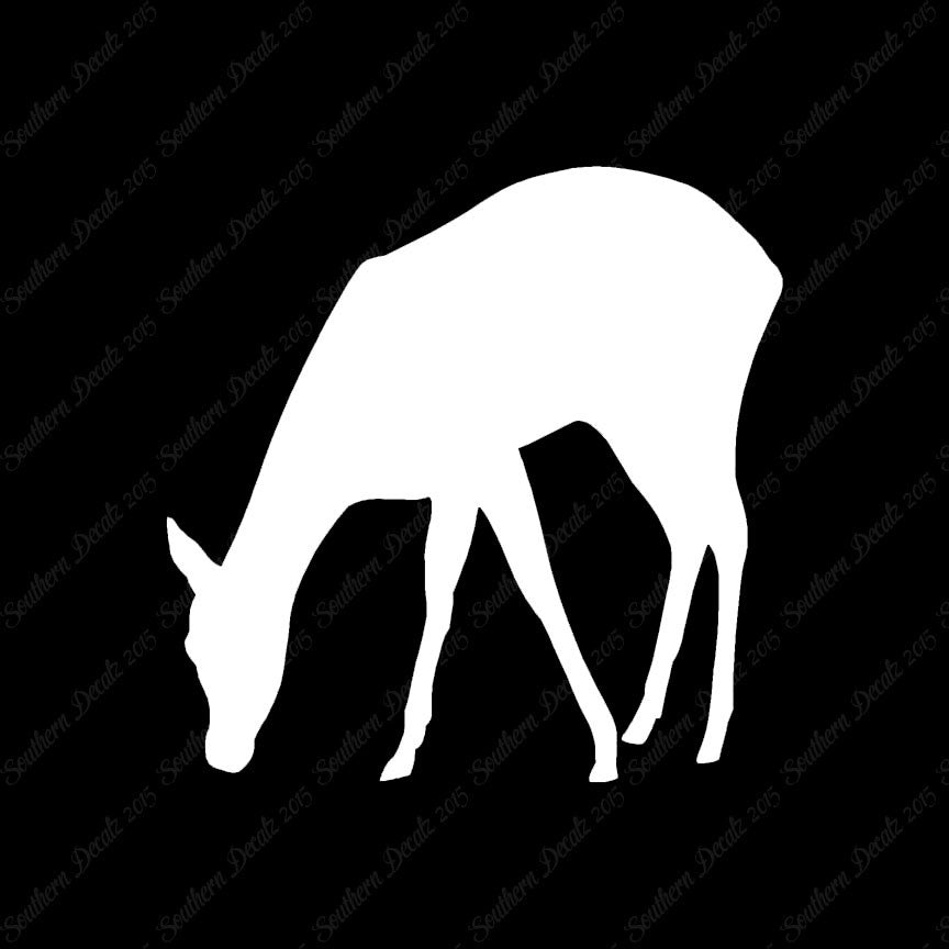 Deer Doe Fawn
