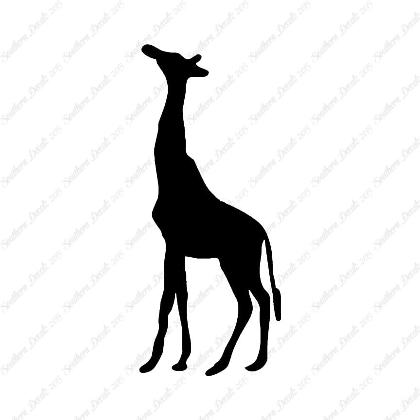 Giraffe Grazing