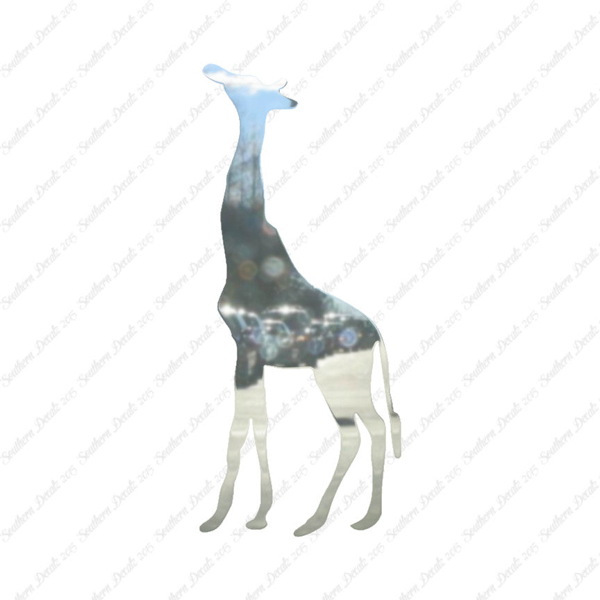 Giraffe Grazing