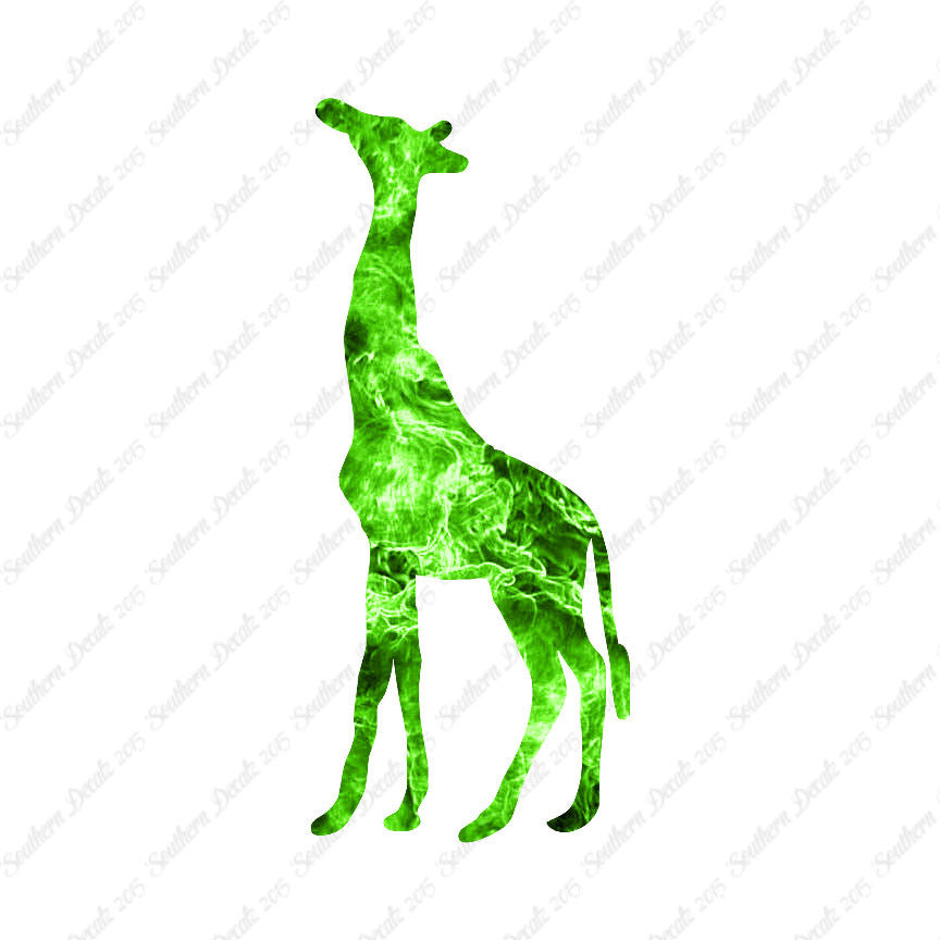 Giraffe Grazing