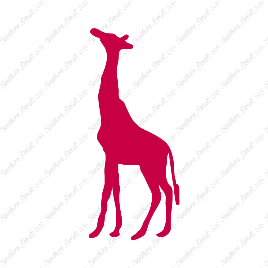 Giraffe Grazing