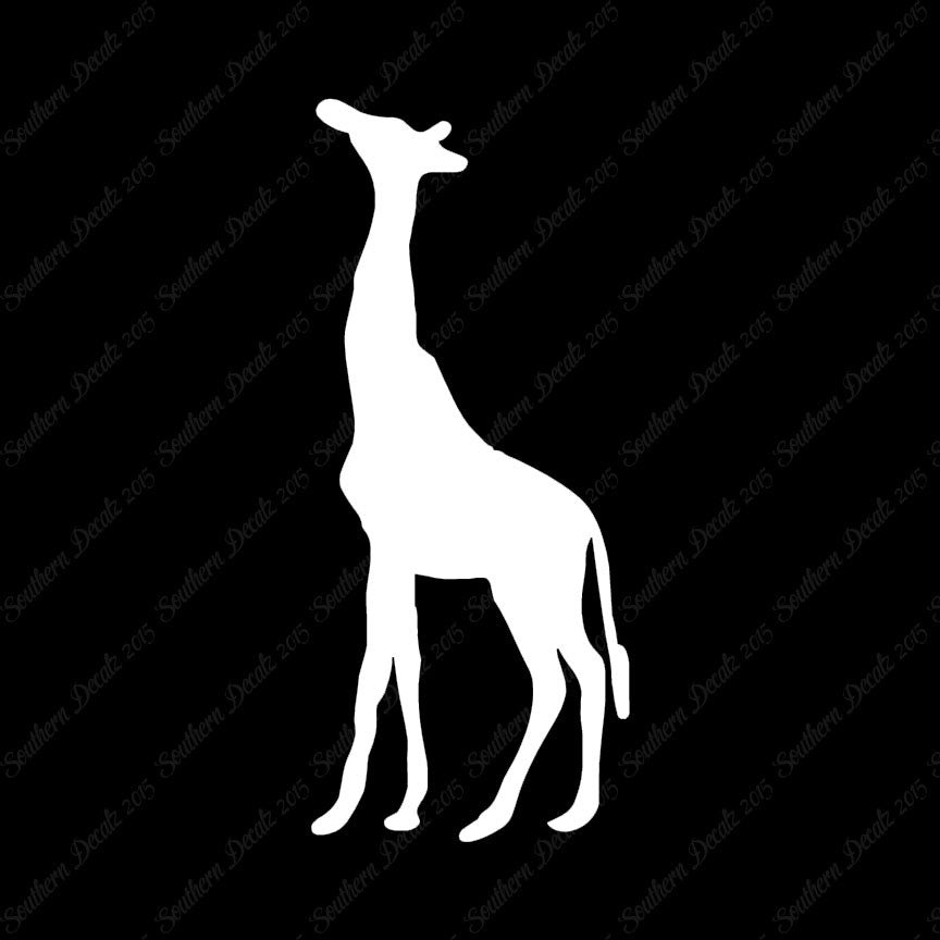 Giraffe Grazing