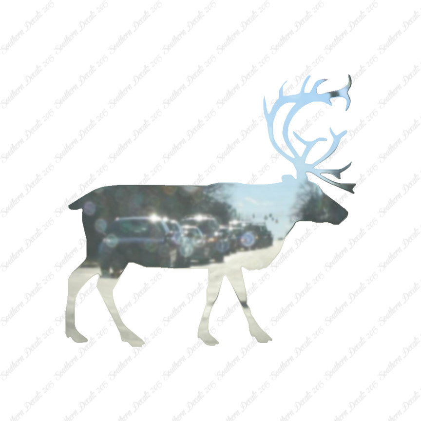 Stag Elk Caribou