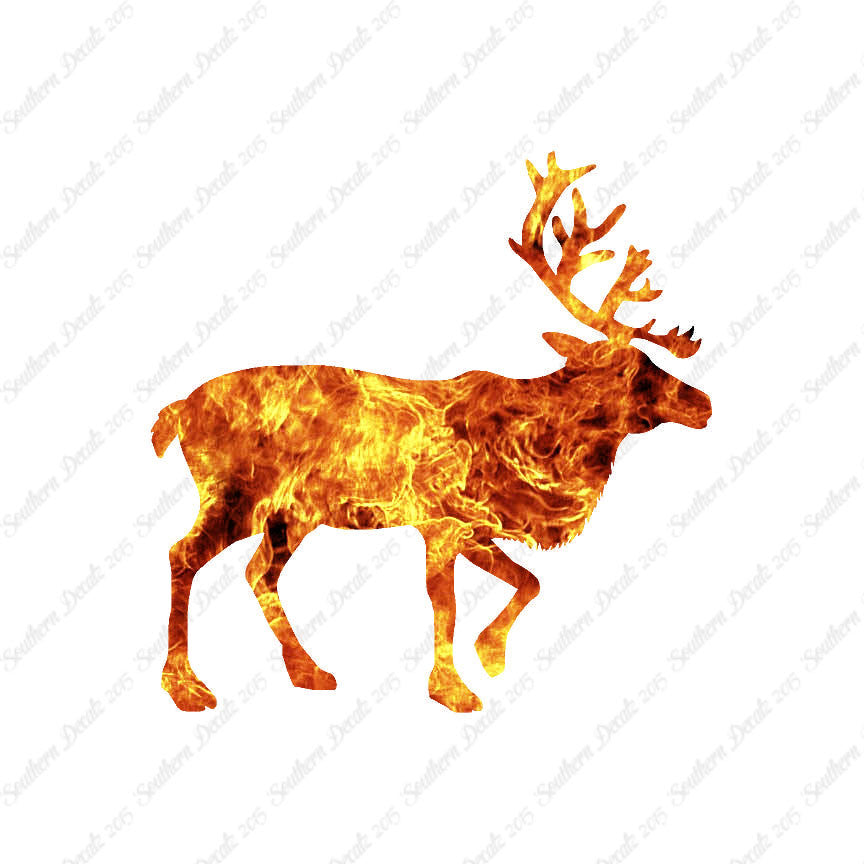 Elk Caribou Reindeer
