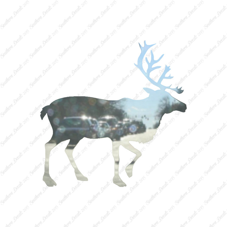 Elk Caribou Reindeer