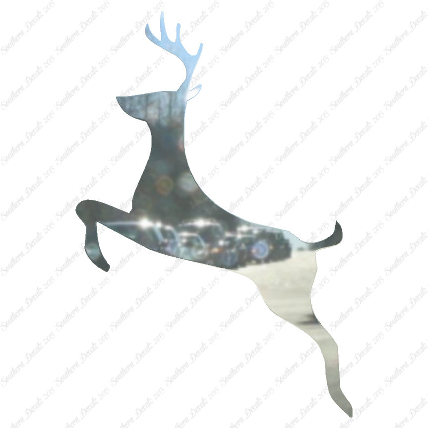 Stag Deer Buck