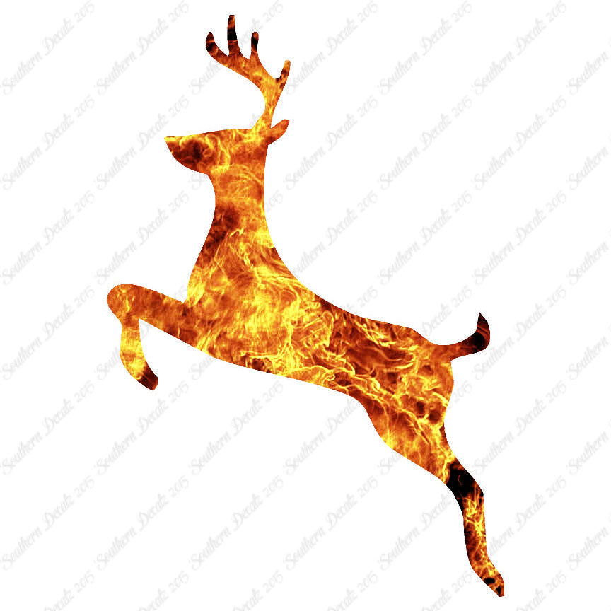 Stag Deer Buck