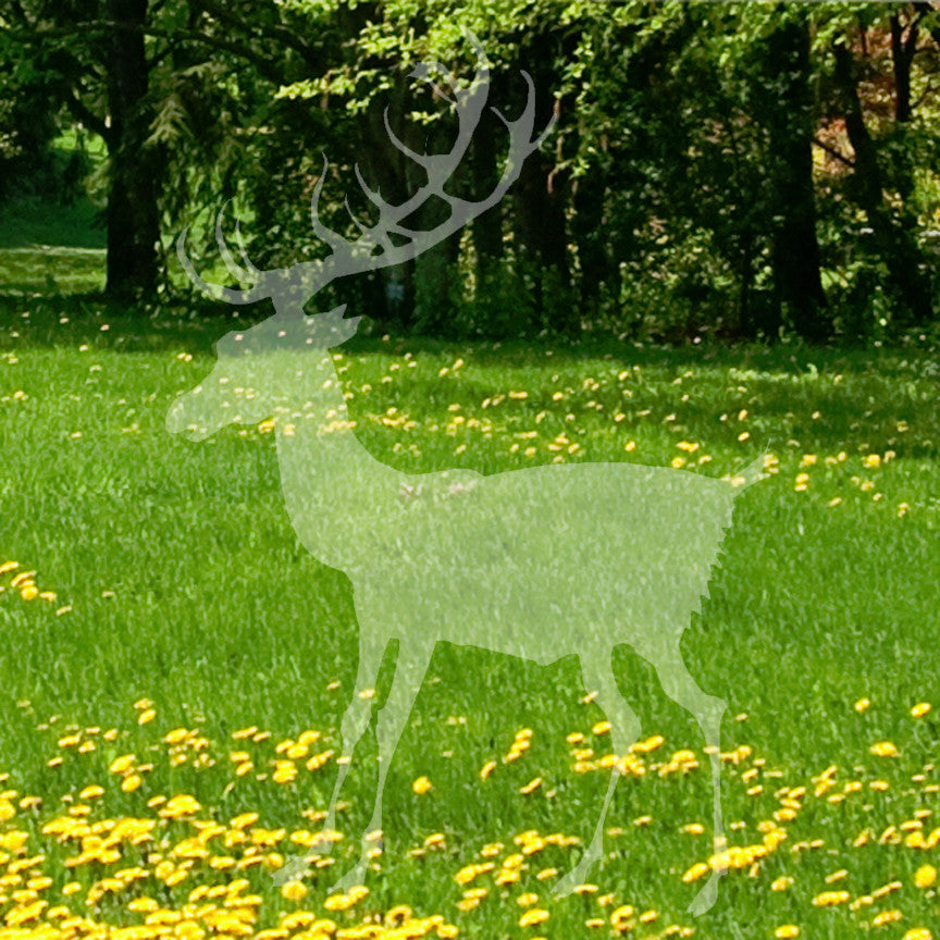 Buck Stag Deer Elk