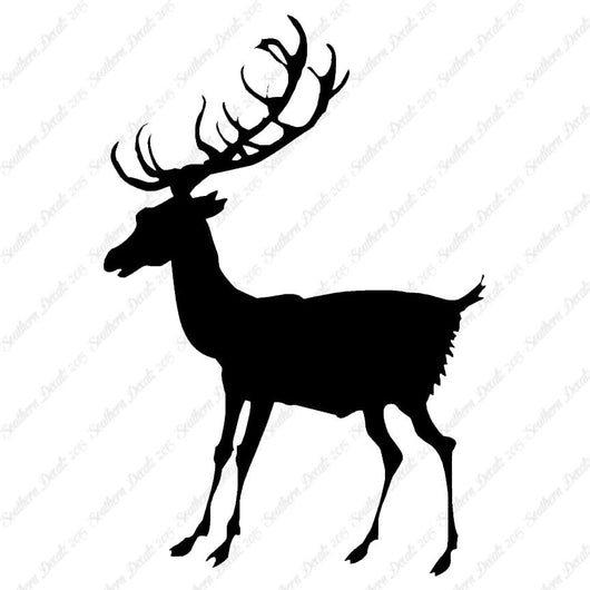 Buck Stag Deer Elk