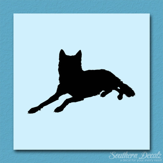 Coyote Wolf Wild Dog